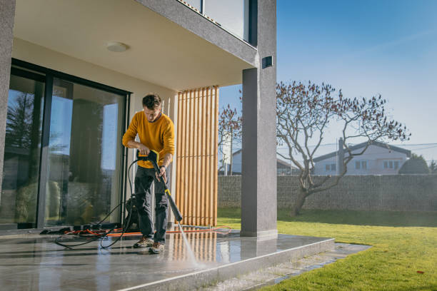 Best Solar Panel Cleaning  in Umatilla, FL